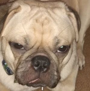 Meet your Posher, Tonia